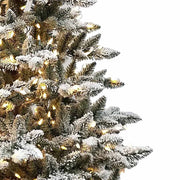 Kurt Adler 6-Foot Pre-Lit Warm White LED Snow Pine Tree