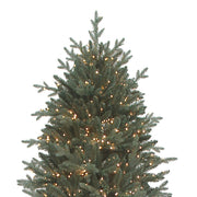 Kurt Adler 9-Foot Pre-Lit Warm White LED Blue Spruce Tree