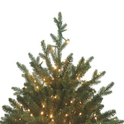 Kurt Adler 5-Foot Pre-Lit Warm White LED Noble Fir Tree