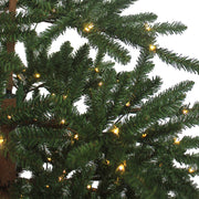 Kurt Adler 7-Foot Pre-Lit Warm White LED Mountain Pine Tree