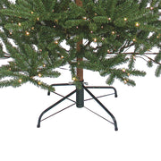 Kurt Adler 7-Foot Pre-Lit Warm White LED Mountain Pine Tree