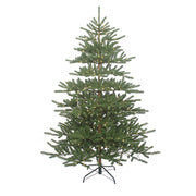 Kurt Adler 7-Foot Pre-Lit Warm White LED Mountain Pine Tree