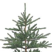 Kurt Adler 7-Foot Pre-Lit Mountain Pine Tree