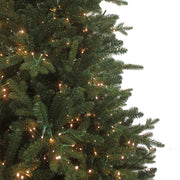 Kurt Adler 9-Foot Pre-Lit Warm White LED Noble Fir Tree