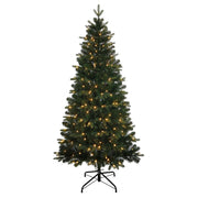 Kurt Adler 6-Foot Pre-Lit LED Studio Spruce Tree