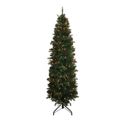 Kurt Adler 6-Foot Pre-Lit Clear Incandescent Studio Spruce Tree