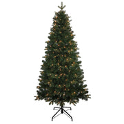 Kurt Adler 6-Foot Pre-Lit Clear Incandescent Studio Spruce Tree