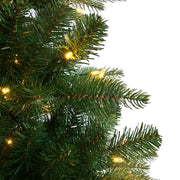 Kurt Adler 7-Foot Pre-Lit LED Studio Spruce Tree