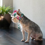 Tropical Island Hat