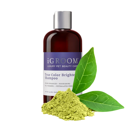 True Color Brightening Shampoo 16oz by iGroom