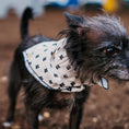 Load image into Gallery viewer, Texas State Dog Bandana in Black and White x Studio Orch Collaboration
