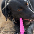 Load image into Gallery viewer, Unicorn Horn Nylon Dog Chew Toy | Durable for Aggressive Chewers | SodaPup
