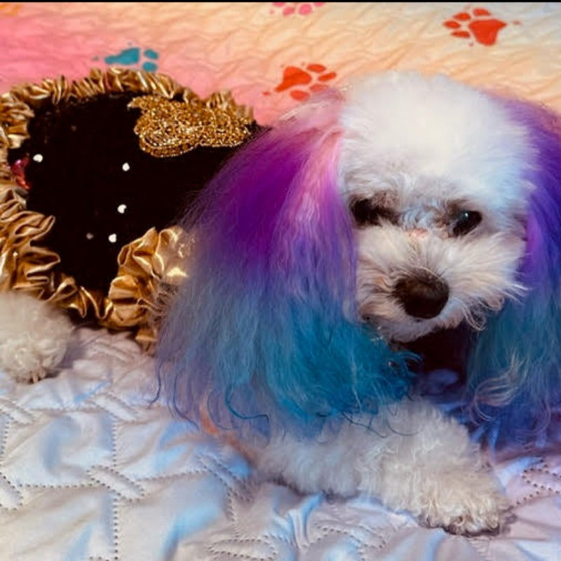 C’Mimi Designer Couture “Cleopatra” Dog Party Dress - Southlake Paws