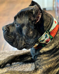 Load image into Gallery viewer, The Joker Limited Collar
