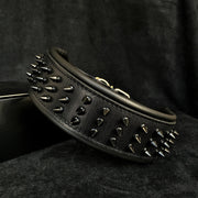 'Black Giant'' collar