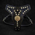 Load image into Gallery viewer, The ''Maximus'' harness V2 Medium Size
