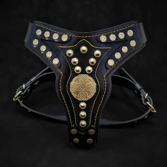 The ''Maximus'' harness V2 Medium Size