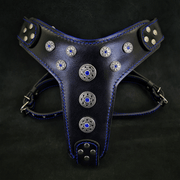 'Bijou'' harness Black & Blue for big dogs