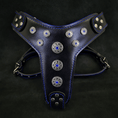 Load image into Gallery viewer, 'Bijou'' harness Black & Blue for big dogs
