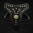 Load image into Gallery viewer, The "Maximus" Dogs and pets harness V2
