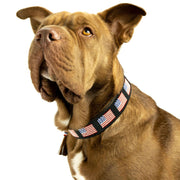 USA Sambboho dog collar