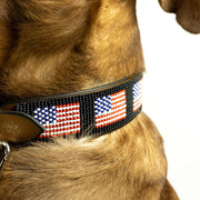 USA Sambboho dog collar