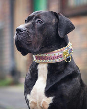The Candy Dog Collar 