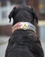 The Candy Dog Collar 