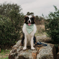 Load image into Gallery viewer, Spring Green Gingham Dog Bandana
