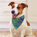 Load image into Gallery viewer, Van Gogh Irises Pet Scarf

