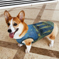 Load image into Gallery viewer, Van Gogh Starry Night Over The Rhone Pet Vest

