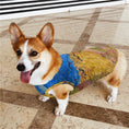 Load image into Gallery viewer, Van Gogh Wheatfield with Crows Pet Vest
