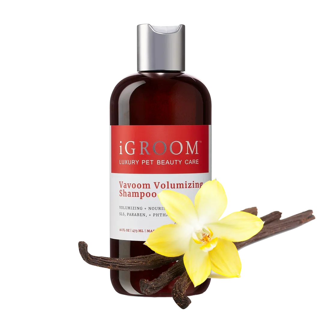 Vavoom Volumizing Shampoo 16oz by iGroom