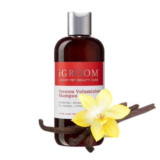 Vavoom Volumizing Shampoo 16oz by iGroom
