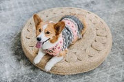 Peach Fairisle Dog Sweater