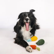 Organic Veggie Toys Bundle