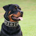 Load image into Gallery viewer, "Hektor" collar
