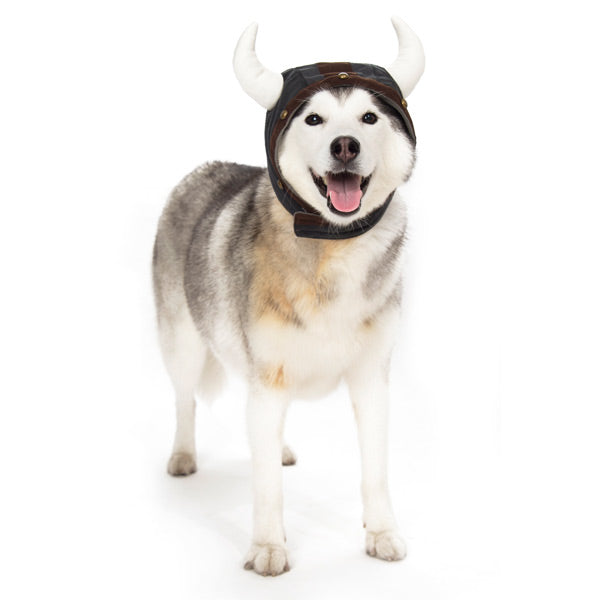 Viking Helmet Hat