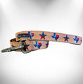 Load image into Gallery viewer, Colorado and Texas Dog Collars, Leads, and Bows - 5 Styles
