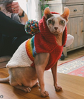 Load image into Gallery viewer, Vintage Ski Hoodie Dog Sweater
