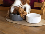 Ceramic Pet Bowl flair.pet