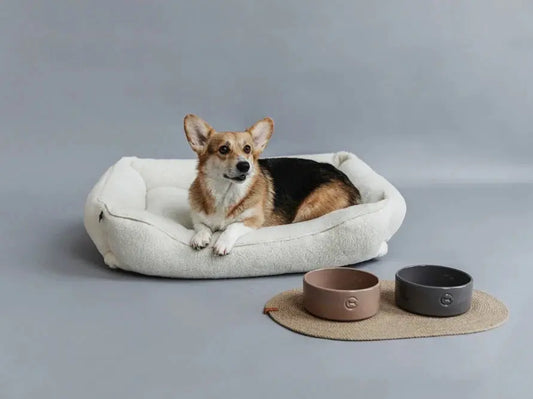 Ceramic Pet Bowl flair.pet