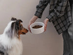 Ceramic Pet Bowl flair.pet