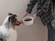 Ceramic Pet Bowl flair.pet