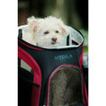 Load image into Gallery viewer, Voyager Pet Backpack Carrier for Dog, Cat and Puppy - Great For Hikers
