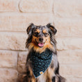 Load image into Gallery viewer, Shimmer Tonight Bandana
