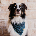 Load image into Gallery viewer, Shimmer Tonight Bandana
