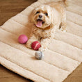 Load image into Gallery viewer, Nooee Pet Wool Toy Ball Set (5CM)
