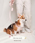 Load image into Gallery viewer, Wander! Bow Harness 2.0 - Blossom Gingham
