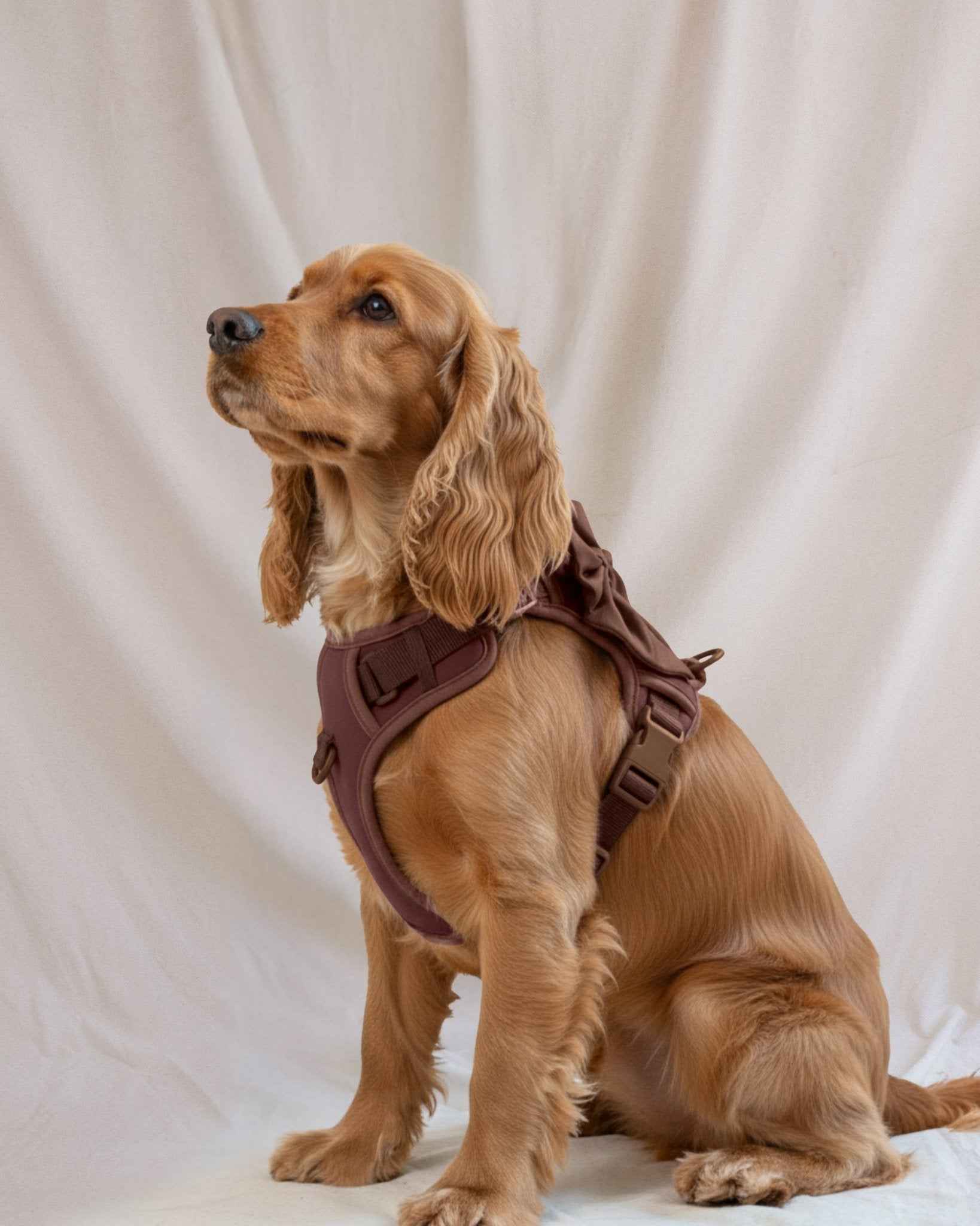 Wander! Bow Harness 2.0 - Cocoa